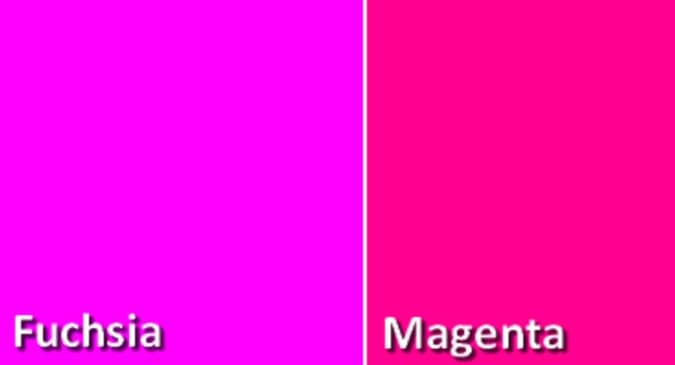 Perbedaan Warna Fuschia Dan Magenta