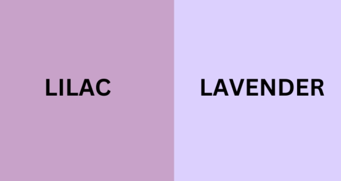 Perbedaan Warna Lilac dan Lavender