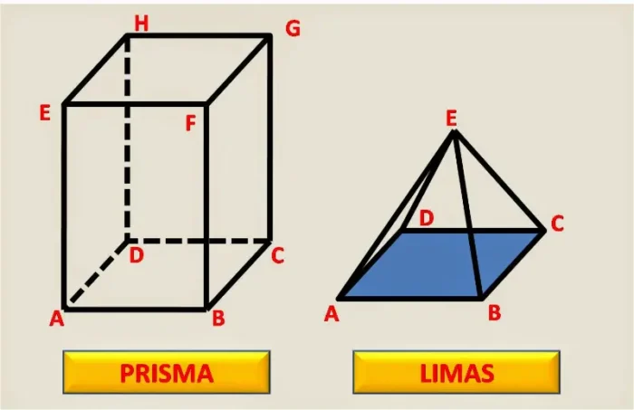 perbedaan dan persamaan prisma dan limas